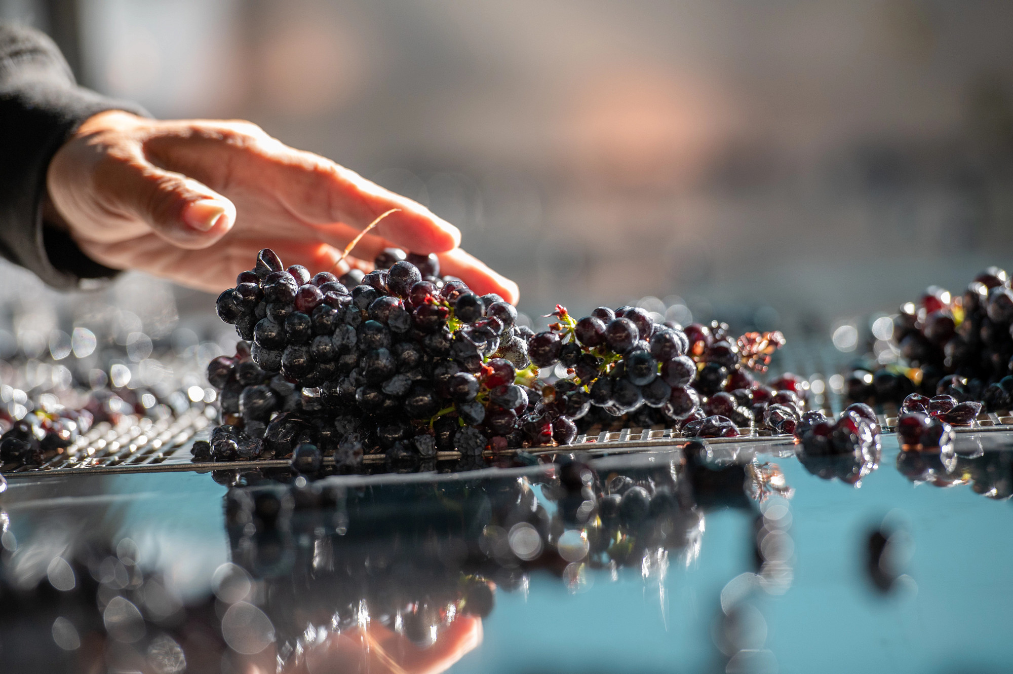 Winberrie Knolls Zinfandel