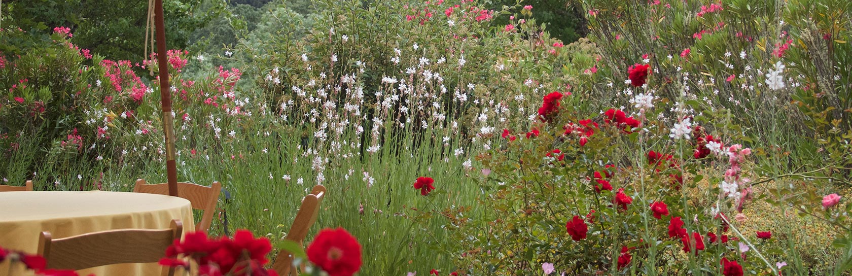 Hartford Family Winery flowers