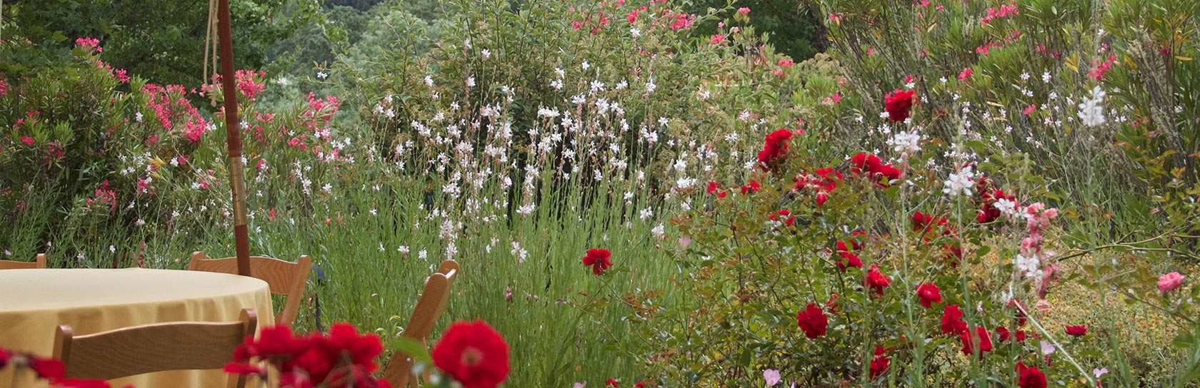 Table next to garden with spring flowers
