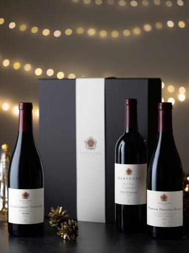 Red Wine Lover Gift Set